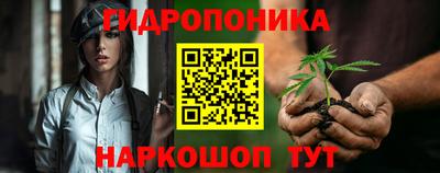 стафф Донецк