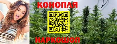 стафф Донецк