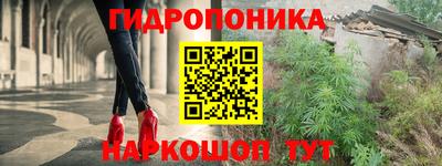 стафф Донецк