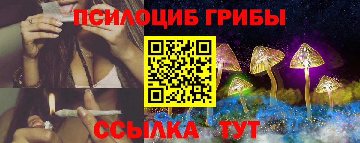 Галлюциногенные грибы Psilocybe  Вход с VPN  Галлюциногенные грибы прущие грибы  Люберцы 
